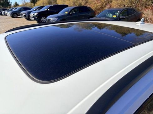 Certified 2025 Audi Q8 Premium w/ Black Optic Package image 6