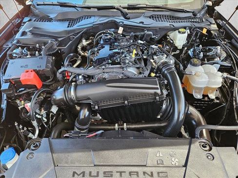 Used 2025 Ford Mustang Coupe RWD image 23