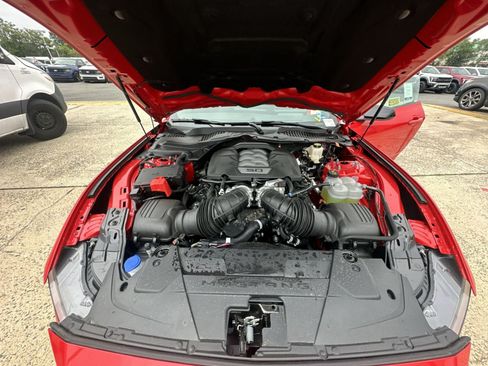 New 2026 Ford Mustang GT w/ Mustang Nite Pony Package RWD image 34