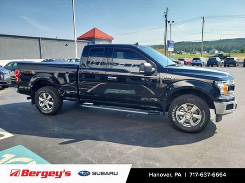 Used 2019 Ford F150 XLT w/ Equipment Group 302A Luxury AWD/4WD image 5