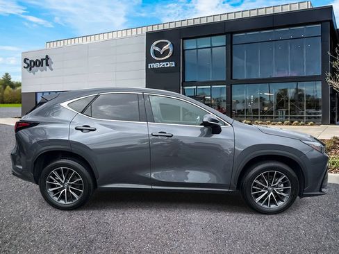 Used 2024 Lexus NX 350 AWD w/ Cold Area Package image 2