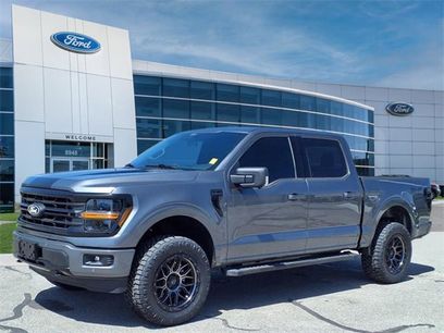 New 2025 Ford F150 XLT w/ Equipment Group 302A MID