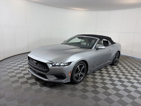 Used 2024 Ford Mustang Premium RWD image 2
