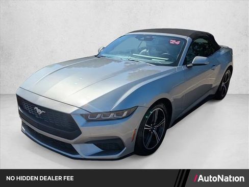 Used 2024 Ford Mustang Premium RWD image 1