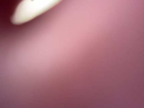 Used 2024 Toyota Camry SE FWD image 15