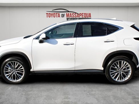 Used 2025 Lexus NX 350h AWD w/ Premium Package image 2