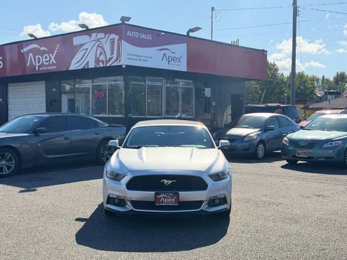 Used 2015 Ford Mustang Premium RWD image 4
