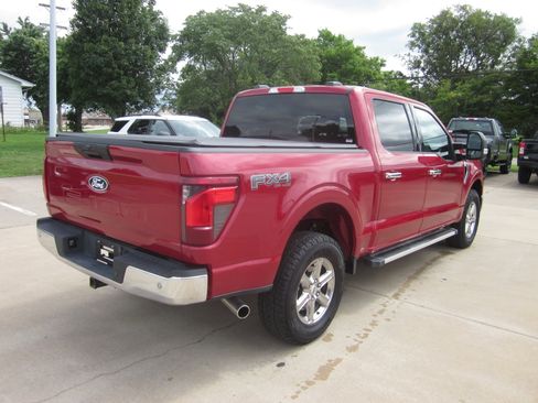 Used 2025 Ford F150 XLT w/ Equipment Group 301A Standard AWD/4WD image 6