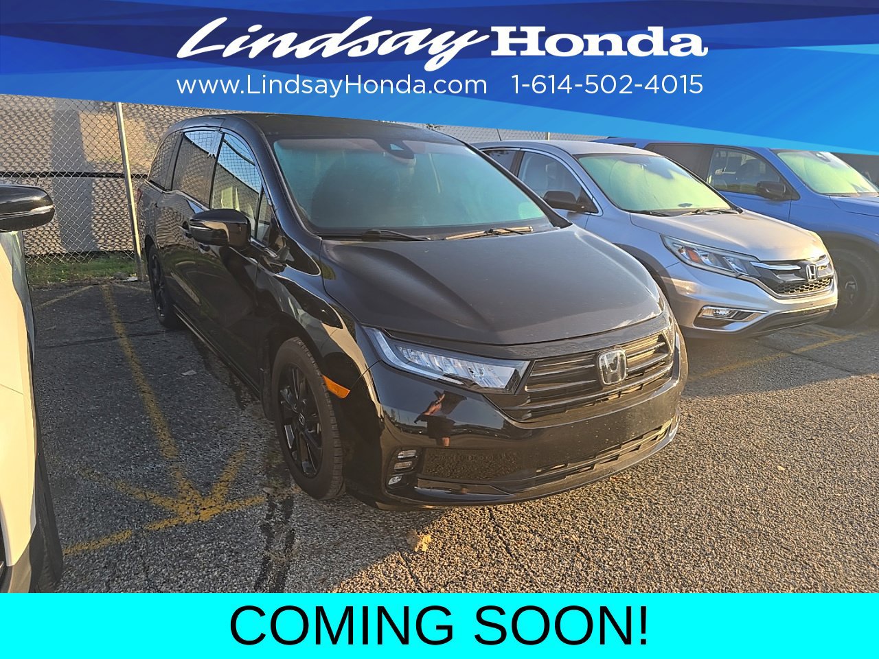 Used 2024 Honda Odyssey Sport image 3