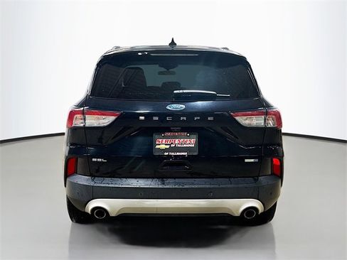 Used 2020 Ford Escape SEL image 8