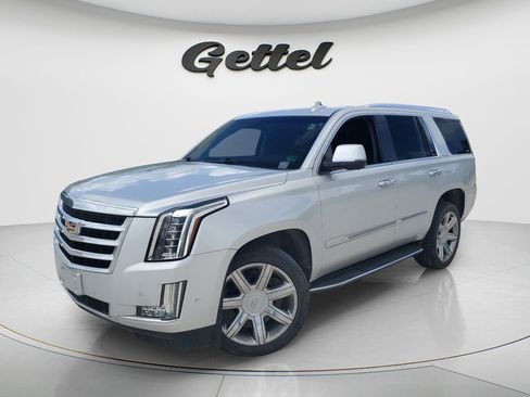 Used 2019 Cadillac Escalade Luxury AWD/4WD image 1