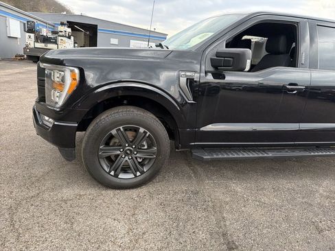 Used 2023 Ford F150 XLT w/ Equipment Group 302A High AWD/4WD image 9