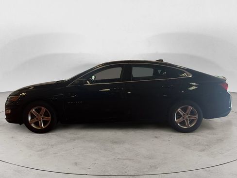 Used 2024 Chevrolet Malibu LS FWD image 6