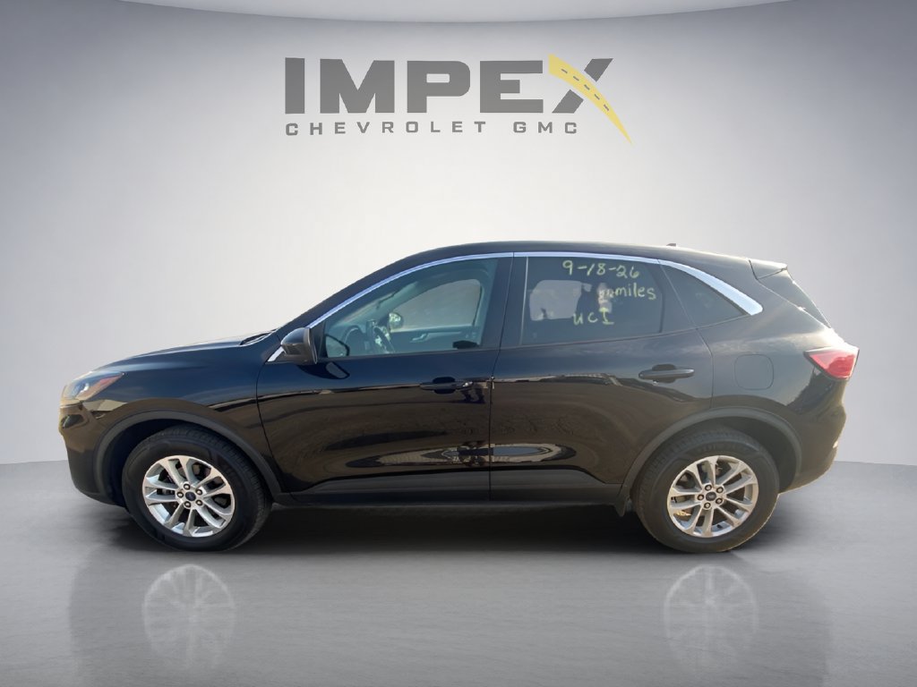 Used 2020 Ford Escape SE AWD/4WD image 2