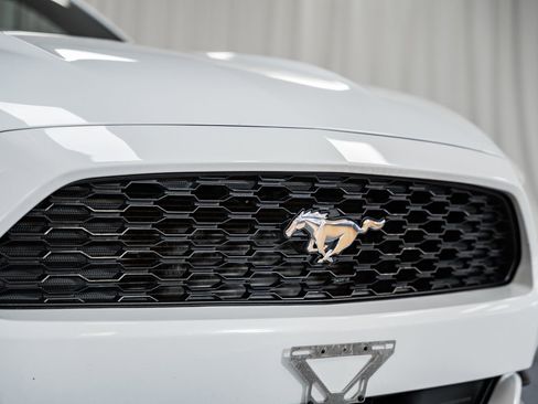 Used 2017 Ford Mustang Coupe image 7