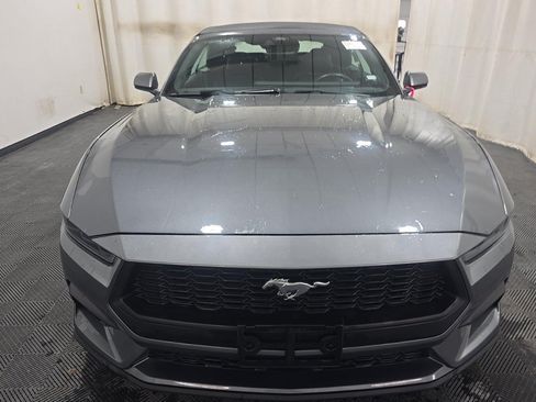 Used 2025 Ford Mustang Premium RWD image 2