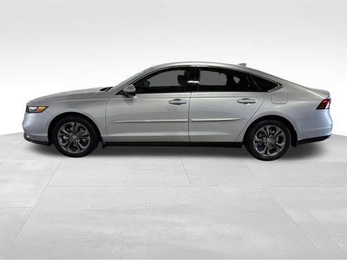 Used 2025 Honda Accord EX-L image 5