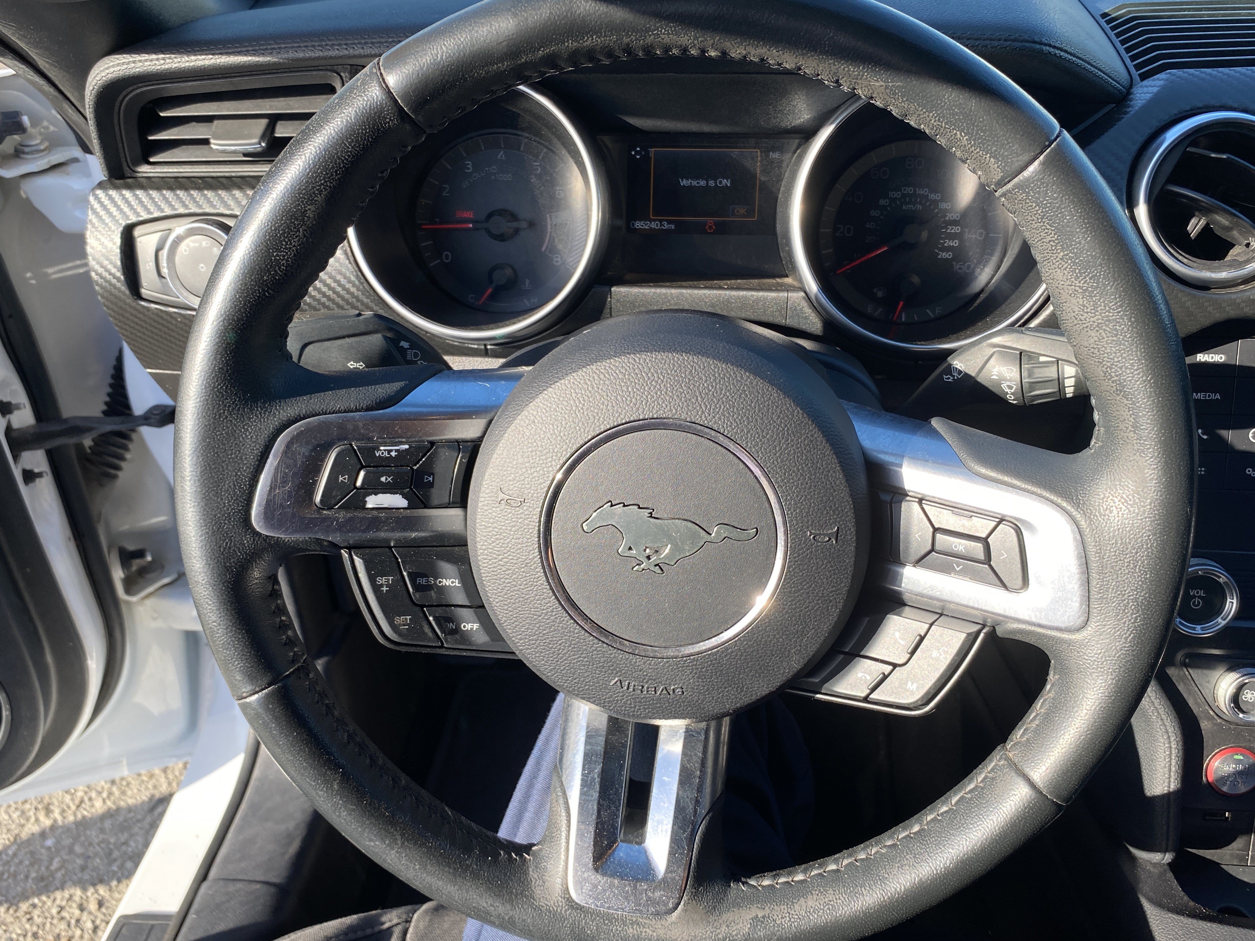 Used 2019 Ford Mustang Coupe RWD image 14