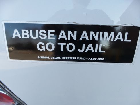 Used 2009 Scion tC image 15