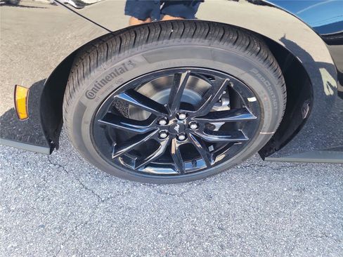 New 2026 Ford Mustang Convertible w/ Mustang Nite Pony Package image 15