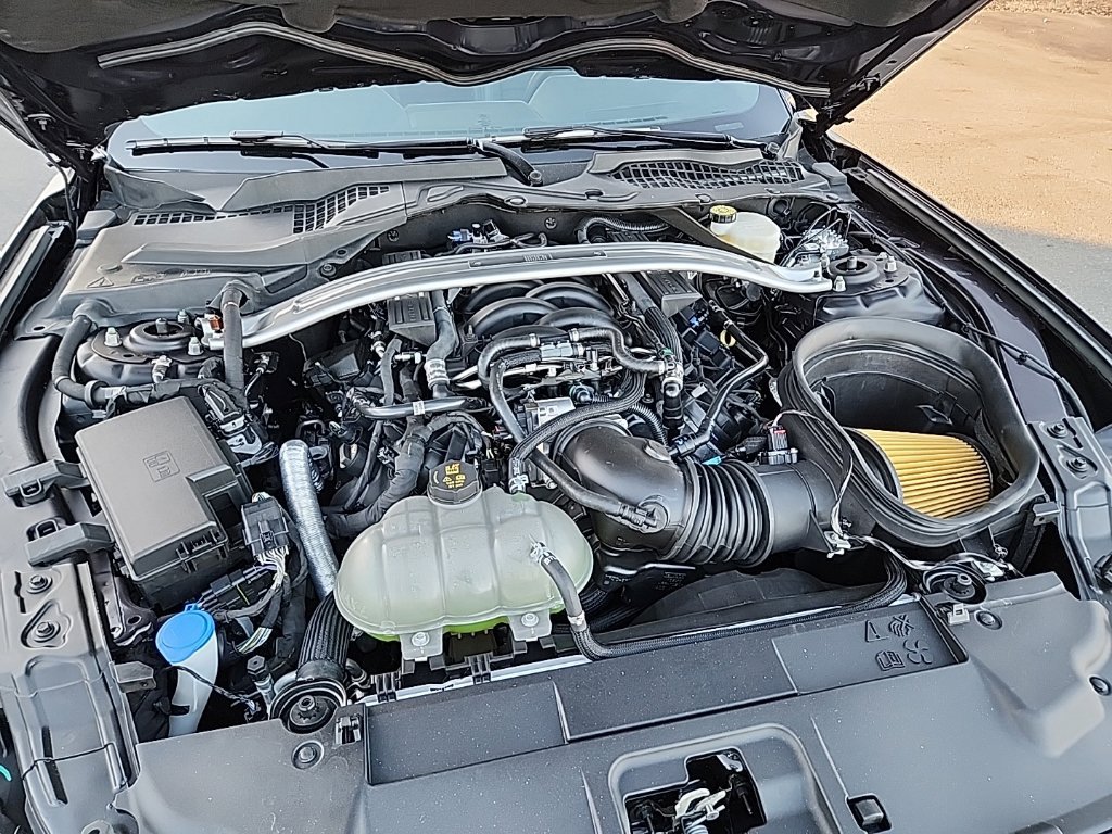 Used 2022 Ford Mustang Mach 1 w/ Equipment Group 700A RWD image 10