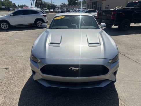 Used 2019 Ford Mustang Coupe RWD image 2