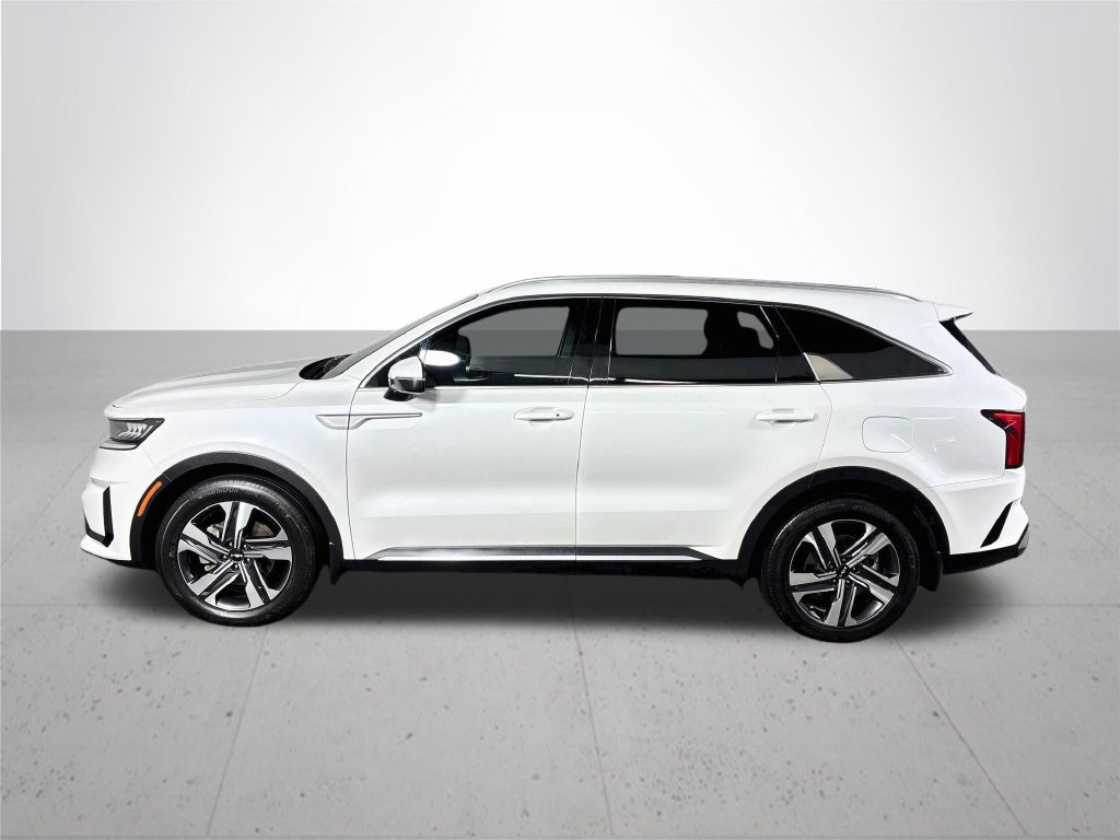 Certified 2023 Kia Sorento EX AWD/4WD image 10