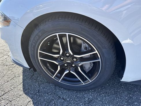 Used 2021 Ford Mustang GT w/ Equipment Group 301A image 11