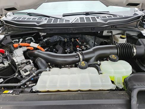 Used 2025 Ford F150 XLT w/ Equipment Group 301A Standard AWD/4WD image 23