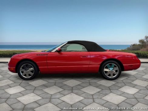 Used 2002 Ford Thunderbird Deluxe image 5