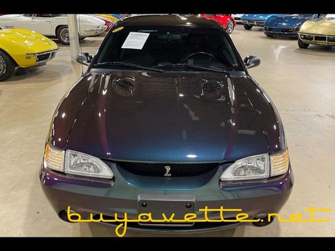 Used 1996 Ford Mustang Cobra image 4