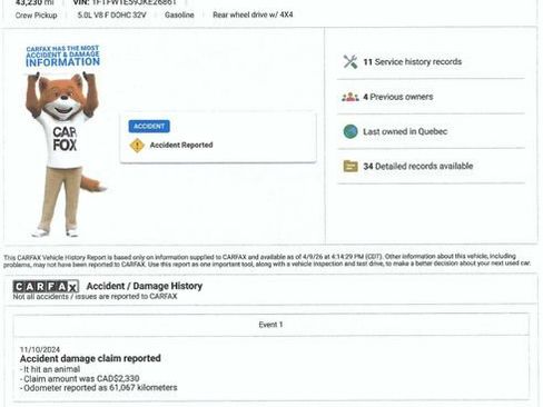 Used 2018 Ford F150 XLT w/ Equipment Group 302A Luxury image 5