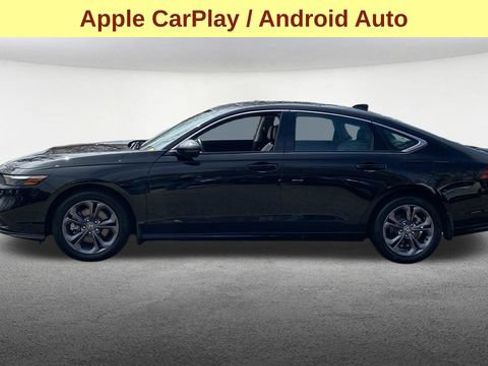 Used 2025 Honda Accord EX-L image 5