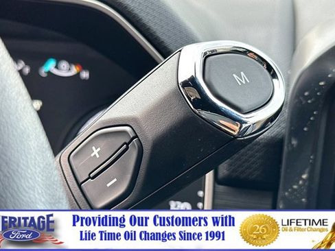 New 2023 Ford F150 XL w/ STX Appearance Package image 18