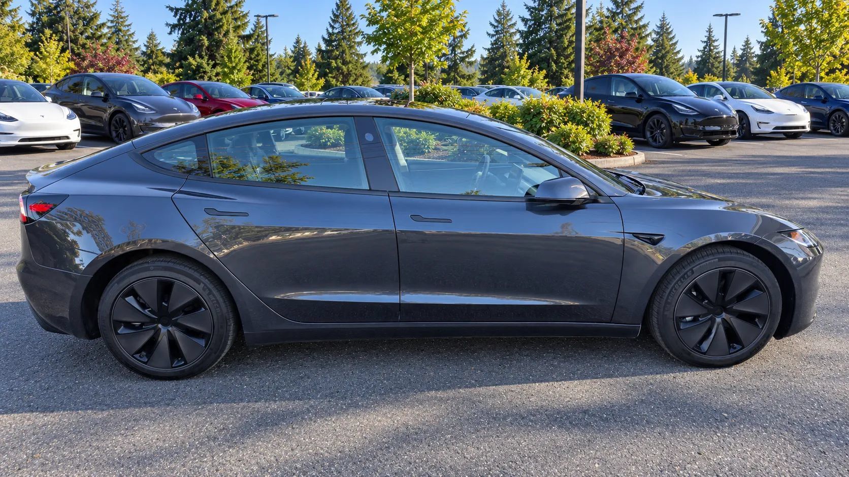 Used 2025 Tesla Model 3 Long Range RWD image 4