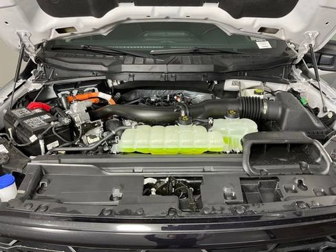 New 2025 Ford F150 XLT w/ Equipment Group 302A MID image 9