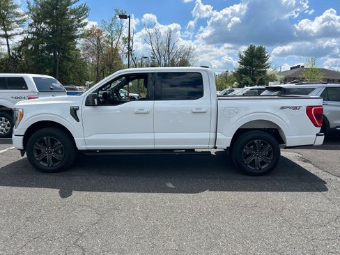 Used 2023 Ford F150 XLT w/ Equipment Group 302A High image 9