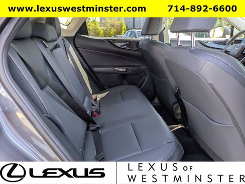 Used 2025 Lexus NX 350h NX 350h Premium w/ Cold Area Package image 6