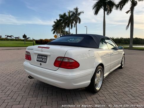 Used 2001 Mercedes-Benz CLK 430 Cabriolet image 7