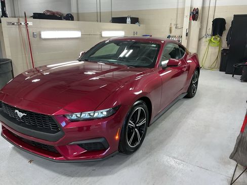 Used 2025 Ford Mustang Coupe image 2