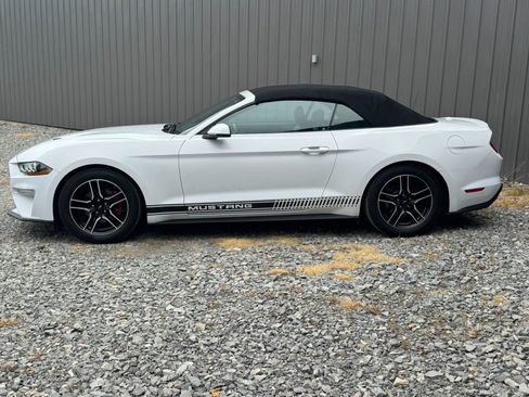 Used 2018 Ford Mustang Premium RWD image 2