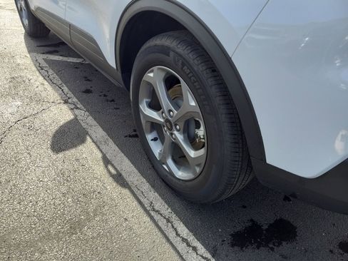 Used 2025 Ford Escape ST-Line w/ Equipment Group 301A image 10