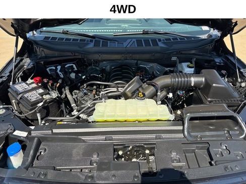 Used 2025 Ford F150 XLT w/ Equipment Group 301A Standard AWD/4WD image 18