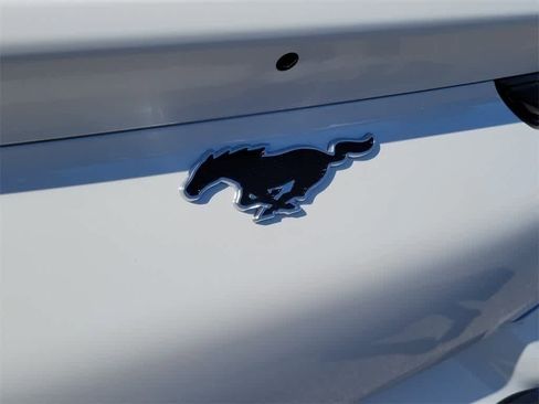 New 2025 Ford Mustang Mach-E Premium w/ Sport Appearance Package image 5