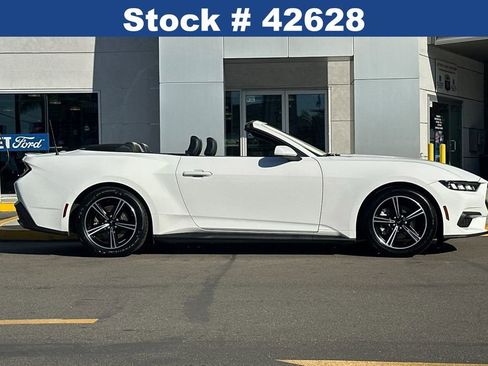 Certified 2024 Ford Mustang Premium image 3