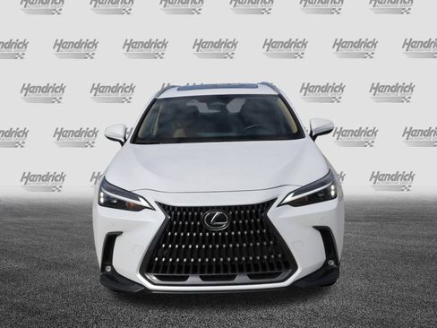 Certified 2025 Lexus NX 250 250 Premium image 3