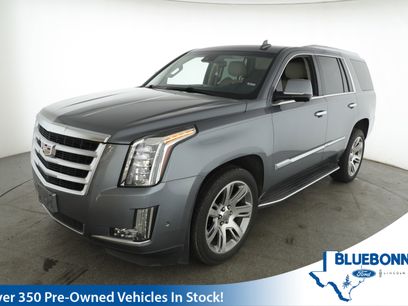 Used 2019 Cadillac Escalade Luxury