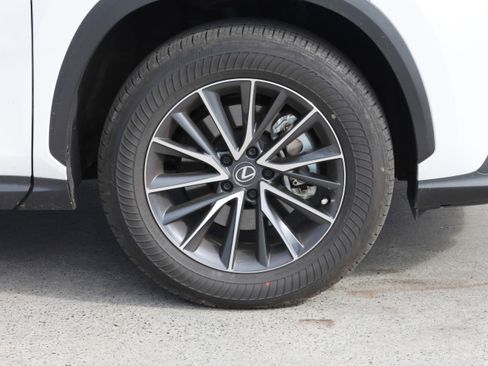 Certified 2025 Lexus NX 250 250 Premium image 11