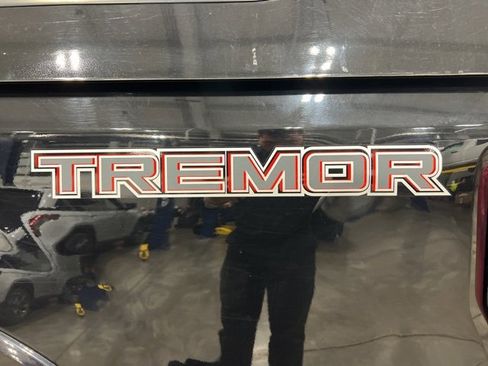 Used 2020 Ford F250 Lariat w/ Tremor Off-Road Package image 9