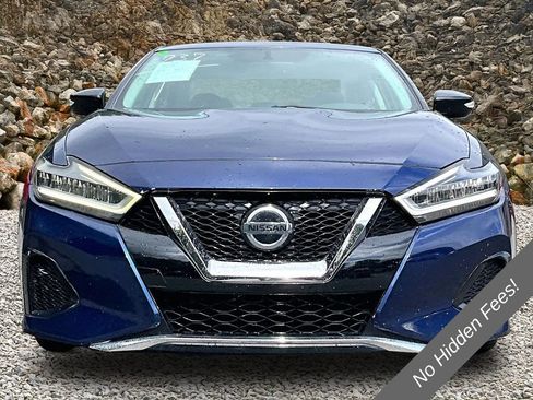 Used 2019 Nissan Maxima 3.5 SV w/ Floor Mat Group FWD image 3